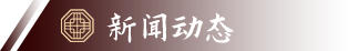 新闻动态